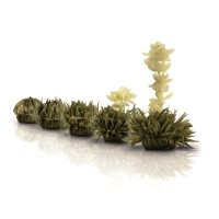 Flores de té