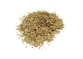 Infusión Eucalipto