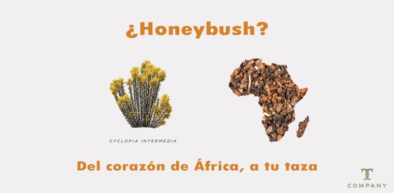 Honeybush, naturaleza y salud
