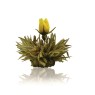 Flores de té blanco