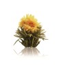 Flores de té blanco