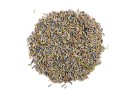 Infusión Lavanda