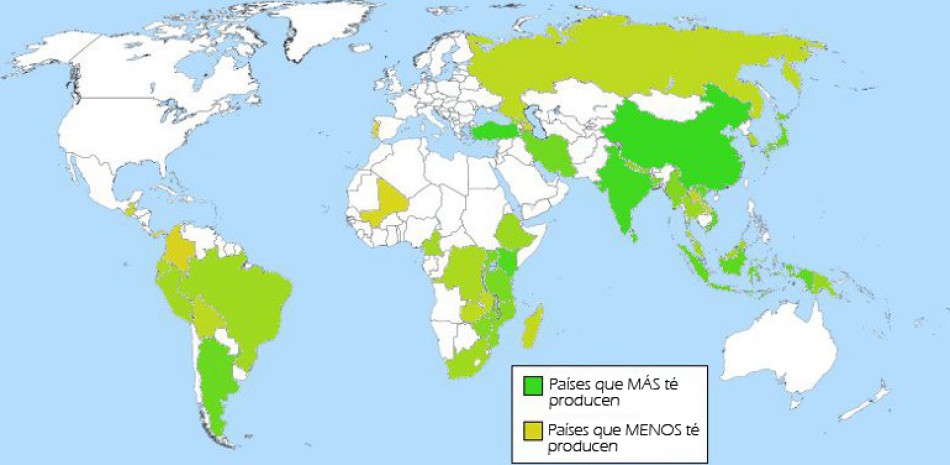 Regiones productoras
a nivel mundial