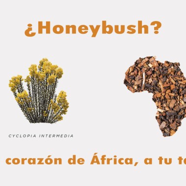 Honeybush, naturaleza y salud